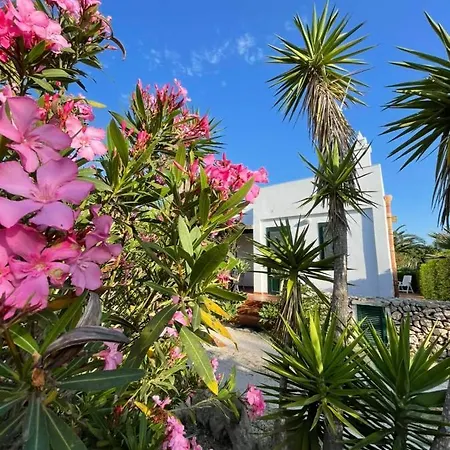 Dei Gabbiani Holiday home *