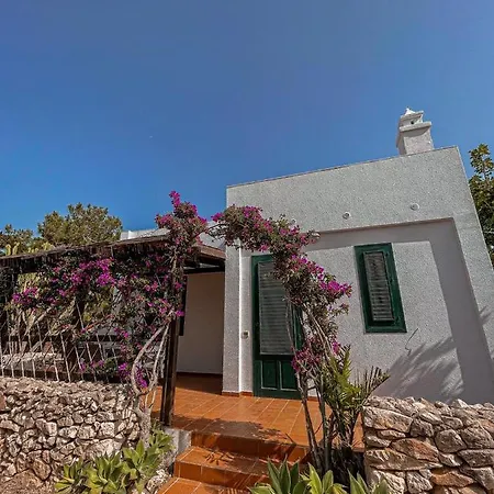 Dei Gabbiani Holiday home